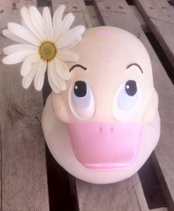 XL_Ente_Oli_Carol